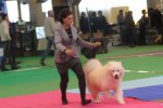 CACS Mâle Orléans 2016